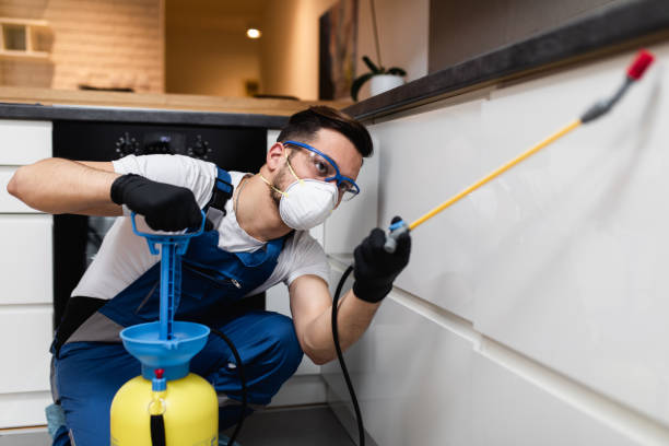 Trusted Mill Creek, WA Pest Control Experts